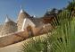 Borgo Ajeni - Trullo Rosemary