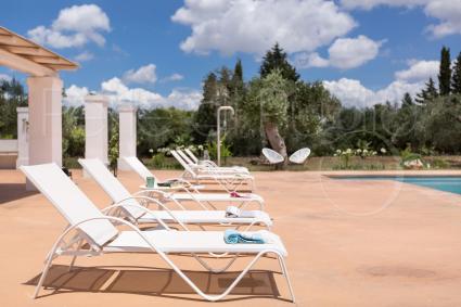 sunbeds by the pool, a lot of space for everyone