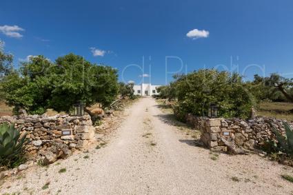 Access avenue with the typical dry stone walls of Salento