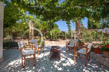 The pergola of the villa for rent for holidays in Salento