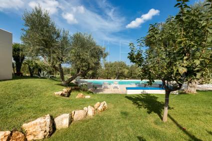 The beautiful swimming pool surrounded by Mediterrean vegetation