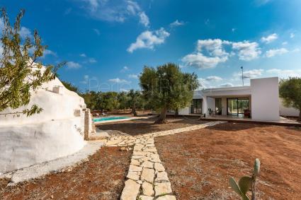 Villa with swimming pool and trullo surrounded by olive trees